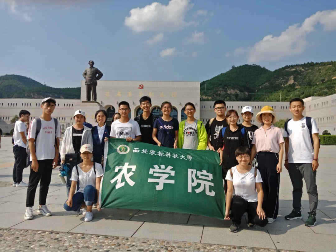 专属IP形象“崇小文”亮相